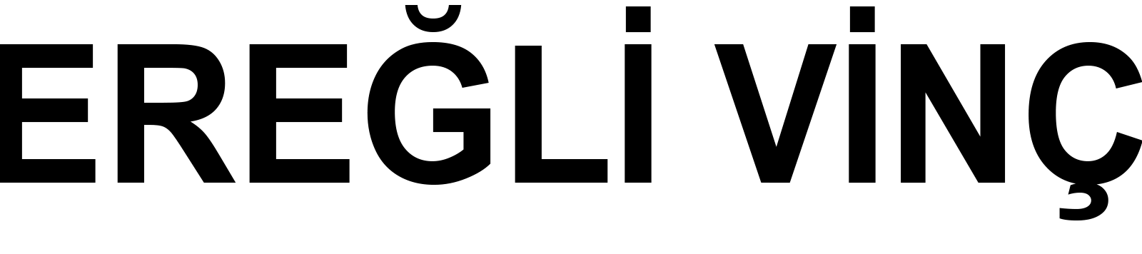 Zonguldak Sepetli Vinç